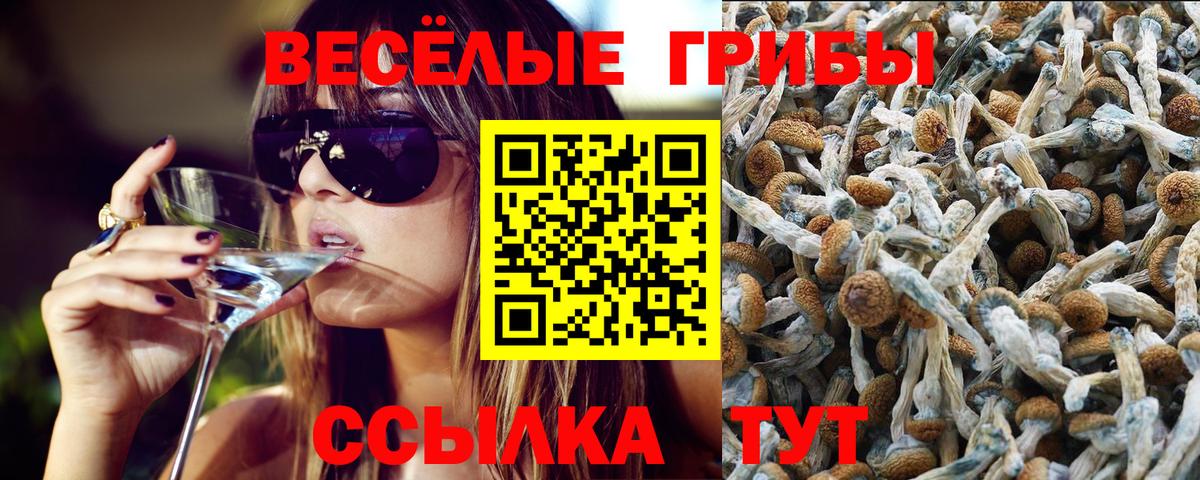 Орск  Псилоцибиновые грибы прущие грибы  купить   Вход с VPN 
